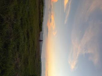 Spacious 53,800-square-foot lot 