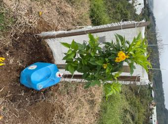 Spacious 53,800-square-foot lot 