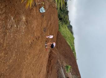 Spacious 53,800-square-foot lot 