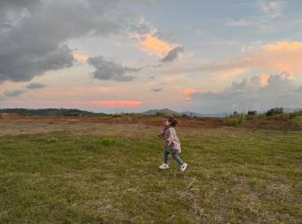 Spacious 53,800-square-foot lot 