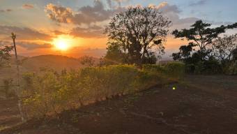 Spacious 53,800-square-foot lot 