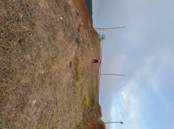 Spacious 53,800-square-foot lot 