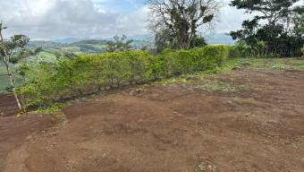 Spacious 53,800-square-foot lot 