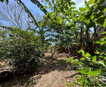 Lots for sale in San Juan de Santa Barbara de Heredia.