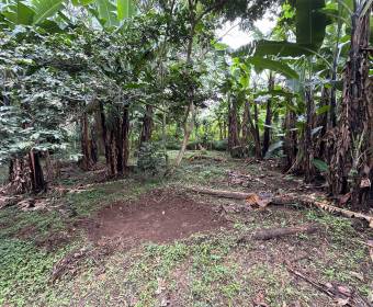 Lots for sale in San Juan de Santa Barbara de Heredia.