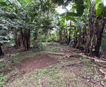 Lots for sale in San Juan de Santa Barbara de Heredia.