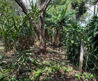 Lots for sale in San Juan de Santa Barbara de Heredia.