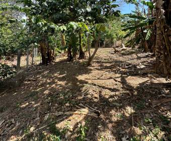 Lots for sale in San Juan de Santa Barbara de Heredia.