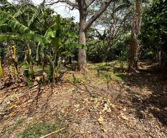 Lots for sale in San Juan de Santa Barbara de Heredia.