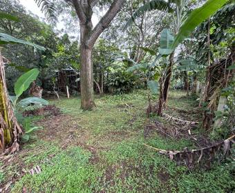 Lots for sale in San Juan de Santa Barbara de Heredia.
