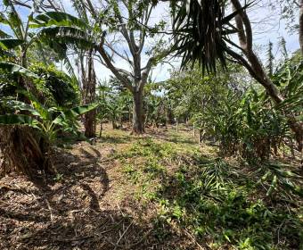 Lots for sale in San Juan de Santa Barbara de Heredia.