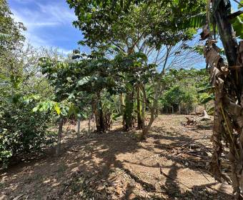 Lots for sale in San Juan de Santa Barbara de Heredia.