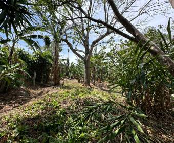 Lots for sale in San Juan de Santa Barbara de Heredia.