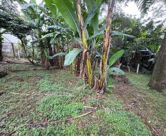 Lots for sale in San Juan de Santa Barbara de Heredia.