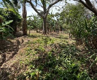 Lots for sale in San Juan de Santa Barbara de Heredia.