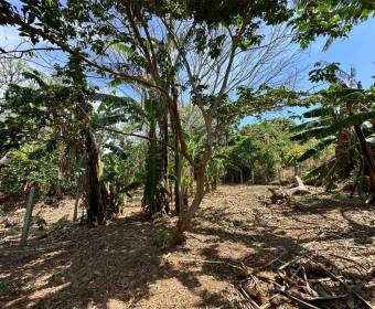 Lots for sale in San Juan de Santa Barbara de Heredia.