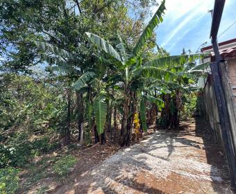 Lots for sale in San Juan de Santa Barbara de Heredia.