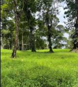 VENTA DE FINCA AGROGANADERA EN PUERTO VIEJO DE SARAPIQUI, HEREDIA