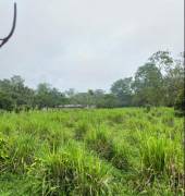 VENTA DE FINCA AGROGANADERA EN PUERTO VIEJO DE SARAPIQUI, HEREDIA