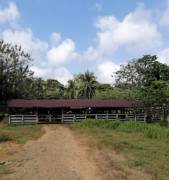 VENTA DE FINCA AGROGANADERA EN PUERTO VIEJO DE SARAPIQUI, HEREDIA