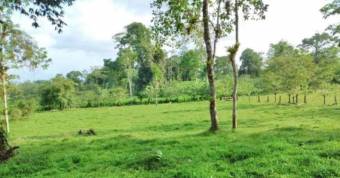 VENTA DE FINCA AGROGANADERA EN PUERTO VIEJO DE SARAPIQUI, HEREDIA