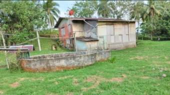 VENTA DE FINCA AGROGANADERA EN PUERTO VIEJO DE SARAPIQUI, HEREDIA