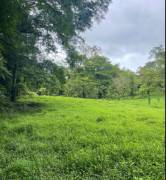 VENTA DE FINCA AGROGANADERA EN PUERTO VIEJO DE SARAPIQUI, HEREDIA