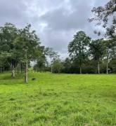 VENTA DE FINCA AGROGANADERA EN PUERTO VIEJO DE SARAPIQUI, HEREDIA