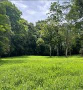 VENTA DE FINCA AGROGANADERA EN PUERTO VIEJO DE SARAPIQUI, HEREDIA