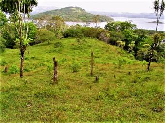 LAKE ARENAL, EXCELLENT LAKEFRONT FARM FOR SALE, REDUCED!