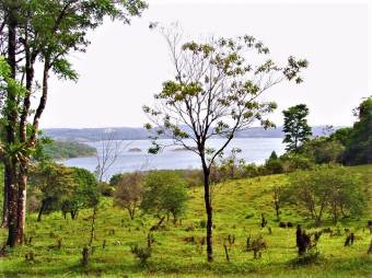 LAKE ARENAL, EXCELLENT LAKEFRONT FARM FOR SALE, REDUCED!