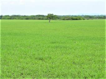 GUANACASTE, INTERAMERICAN HWAY, 250 ACRES FOR SALE, INDUSTRIAL & COMMERCIAL USE