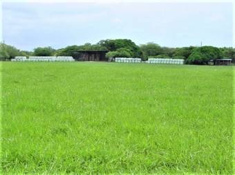 GUANACASTE, INTERAMERICAN HWAY, 250 ACRES FOR SALE, INDUSTRIAL & COMMERCIAL USE