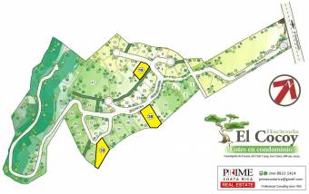ESCAZÚ, LOTS FOR SALE in EXCLUSIVE HDA EL COCOY Compound ESCAZÚ, LOTS FOR SALE in EXCLUSIVE HDA EL COCOY Compound