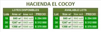 ESCAZÚ, LOTS FOR SALE in EXCLUSIVE HDA EL COCOY Compound ESCAZÚ, LOTS FOR SALE in EXCLUSIVE HDA EL COCOY Compound