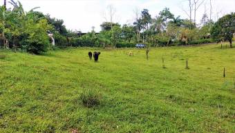 FIRE SALE! COUNTRY LOT, ECOTOURISM AREA, QUAINT VILLAGE FIRE SALE! COUNTRY LOT, ECOTOURISM AREA, QUAINT VILLAGE