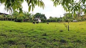 FIRE SALE! COUNTRY LOT, ECOTOURISM AREA, QUAINT VILLAGE FIRE SALE! COUNTRY LOT, ECOTOURISM AREA, QUAINT VILLAGE