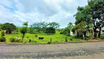 FIRE SALE! COUNTRY LOT, ECOTOURISM AREA, QUAINT VILLAGE FIRE SALE! COUNTRY LOT, ECOTOURISM AREA, QUAINT VILLAGE