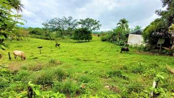 FIRE SALE! COUNTRY LOT, ECOTOURISM AREA, QUAINT VILLAGE FIRE SALE! COUNTRY LOT, ECOTOURISM AREA, QUAINT VILLAGE