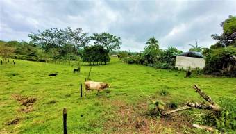 FIRE SALE! COUNTRY LOT, ECOTOURISM AREA, QUAINT VILLAGE FIRE SALE! COUNTRY LOT, ECOTOURISM AREA, QUAINT VILLAGE