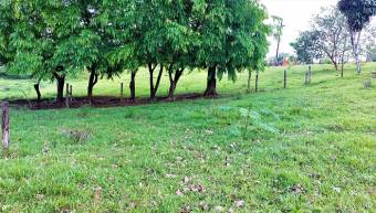 FIRE SALE! COUNTRY LOT, ECOTOURISM AREA, QUAINT VILLAGE FIRE SALE! COUNTRY LOT, ECOTOURISM AREA, QUAINT VILLAGE