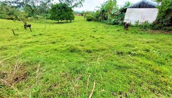 FIRE SALE! COUNTRY LOT, ECOTOURISM AREA, QUAINT VILLAGE FIRE SALE! COUNTRY LOT, ECOTOURISM AREA, QUAINT VILLAGE