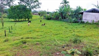 FIRE SALE! COUNTRY LOT, ECOTOURISM AREA, QUAINT VILLAGE FIRE SALE! COUNTRY LOT, ECOTOURISM AREA, QUAINT VILLAGE