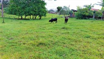 FIRE SALE! COUNTRY LOT, ECOTOURISM AREA, QUAINT VILLAGE FIRE SALE! COUNTRY LOT, ECOTOURISM AREA, QUAINT VILLAGE