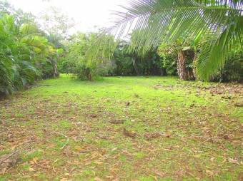 YOUR TROPICAL PARADISE!  LUSH LOTS FOR SALE FACING LAKE CUTRIS
