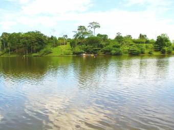 YOUR TROPICAL PARADISE!  LUSH LOTS FOR SALE FACING LAKE CUTRIS