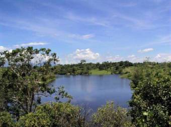 YOUR TROPICAL PARADISE! LUSH LOTS FOR SALE FACING LAKE CUTRIS YOUR TROPICAL PARADISE! LUSH LOTS FOR SALE FACING LAKE CUTRIS