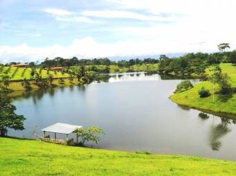 YOUR TROPICAL PARADISE! LUSH LOTS FOR SALE FACING LAKE CUTRIS YOUR TROPICAL PARADISE! LUSH LOTS FOR SALE FACING LAKE CUTRIS