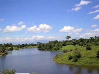 YOUR TROPICAL PARADISE! LUSH LOTS FOR SALE FACING LAKE CUTRIS YOUR TROPICAL PARADISE! LUSH LOTS FOR SALE FACING LAKE CUTRIS