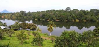 YOUR TROPICAL PARADISE! LUSH LOTS FOR SALE FACING LAKE CUTRIS YOUR TROPICAL PARADISE! LUSH LOTS FOR SALE FACING LAKE CUTRIS